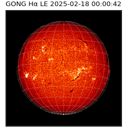 gong - 2025-02-18T00:00:42