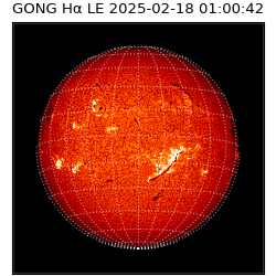 gong - 2025-02-18T01:00:42