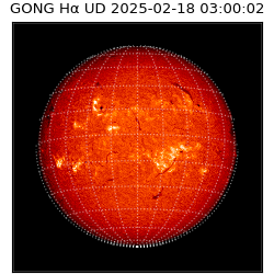 gong - 2025-02-18T03:00:02