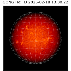 gong - 2025-02-18T13:00:22
