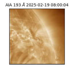 saia - 2025-02-19T08:00:04.843000
