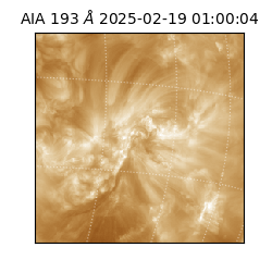 saia - 2025-02-19T01:00:04.843000