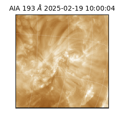 saia - 2025-02-19T10:00:04.843000