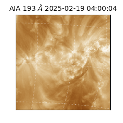 saia - 2025-02-19T04:00:04.843000