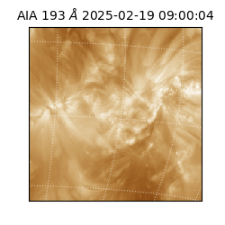saia - 2025-02-19T09:00:04.843000
