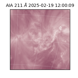 saia - 2025-02-19T12:00:09.630000