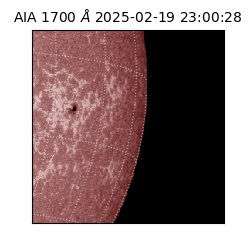 saia - 2025-02-19T23:00:28.717000