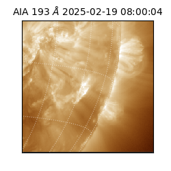 saia - 2025-02-19T08:00:04.843000