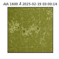 saia - 2025-02-19T03:00:14.125000