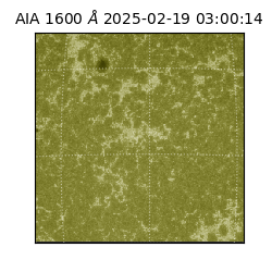 saia - 2025-02-19T03:00:14.125000