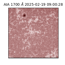 saia - 2025-02-19T09:00:28.717000