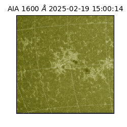 saia - 2025-02-19T15:00:14.126000
