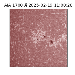 saia - 2025-02-19T11:00:28.717000
