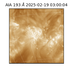 saia - 2025-02-19T03:00:04.843000