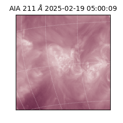 saia - 2025-02-19T05:00:09.626000