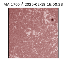 saia - 2025-02-19T16:00:28.718000
