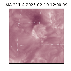 saia - 2025-02-19T12:00:09.630000
