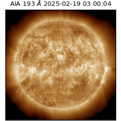 saia - 2025-02-19T03:00:04.843000