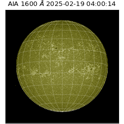 saia - 2025-02-19T04:00:14.126000