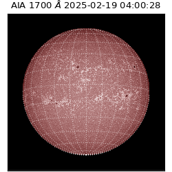 saia - 2025-02-19T04:00:28.720000