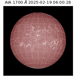 saia - 2025-02-19T06:00:28.717000