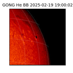 gong - 2025-02-19T19:00:02