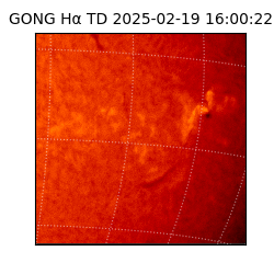 gong - 2025-02-19T16:00:22