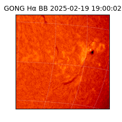 gong - 2025-02-19T19:00:02