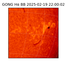 gong - 2025-02-19T22:00:02