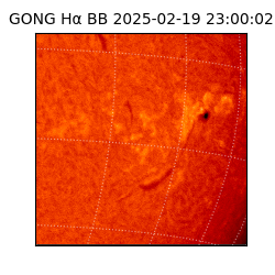 gong - 2025-02-19T23:00:02