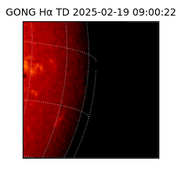 gong - 2025-02-19T09:00:22