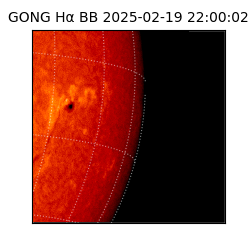 gong - 2025-02-19T22:00:02