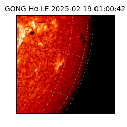 gong - 2025-02-19T01:00:42