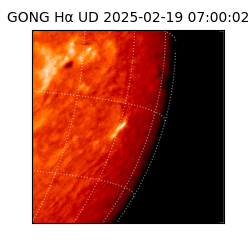 gong - 2025-02-19T07:00:02