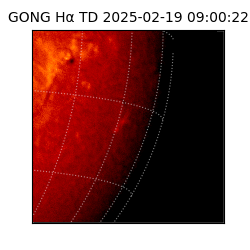 gong - 2025-02-19T09:00:22