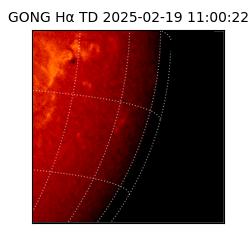 gong - 2025-02-19T11:00:22