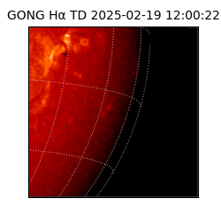 gong - 2025-02-19T12:00:22