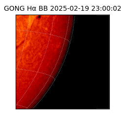 gong - 2025-02-19T23:00:02