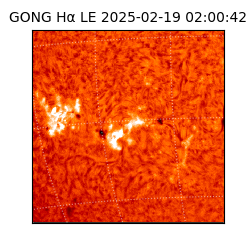 gong - 2025-02-19T02:00:42