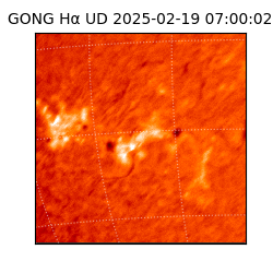 gong - 2025-02-19T07:00:02