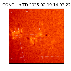 gong - 2025-02-19T14:03:22