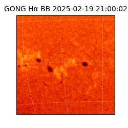 gong - 2025-02-19T21:00:02