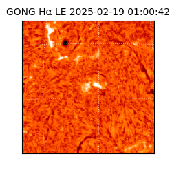 gong - 2025-02-19T01:00:42