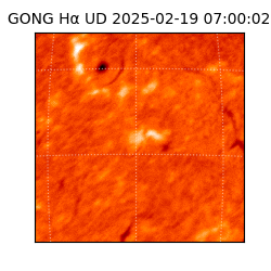 gong - 2025-02-19T07:00:02