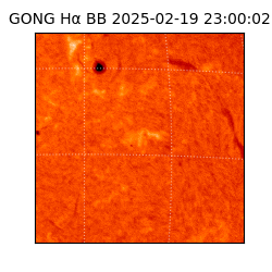 gong - 2025-02-19T23:00:02