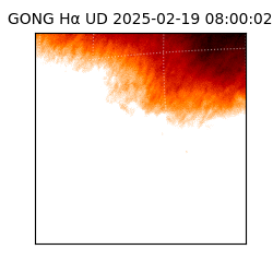 gong - 2025-02-19T08:00:02