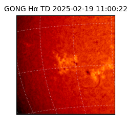 gong - 2025-02-19T11:00:22