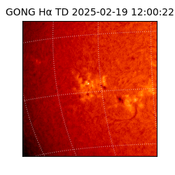 gong - 2025-02-19T12:00:22