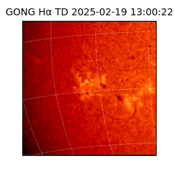 gong - 2025-02-19T13:00:22