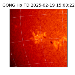 gong - 2025-02-19T15:00:22